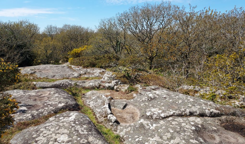La salle de danse des fées
